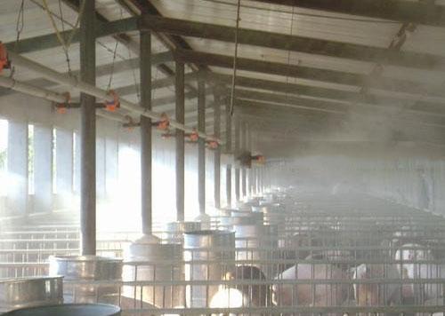 噴霧除臭 噴霧除臭